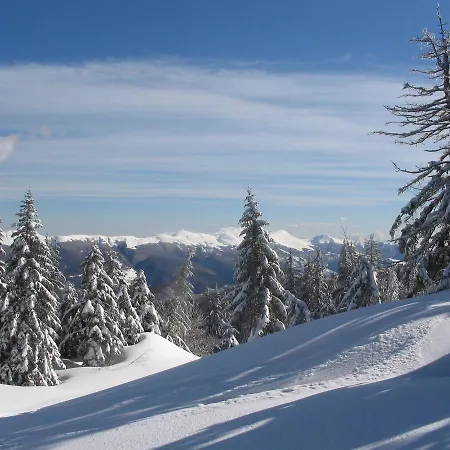 Sichi クティリアーノ