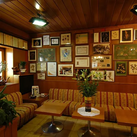 Sichi クティリアーノ